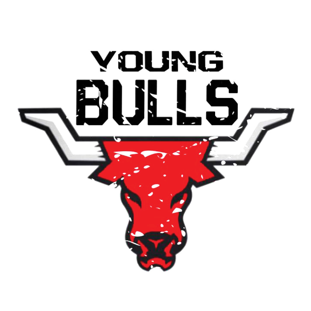 Young Bulls